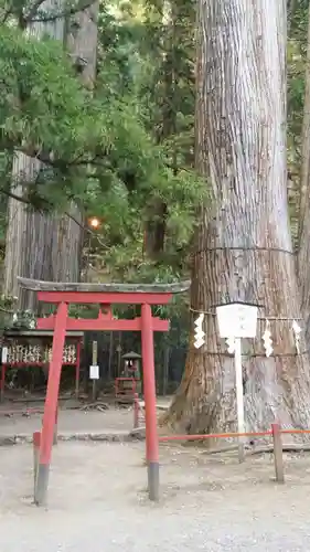日光二荒山神社の鳥居