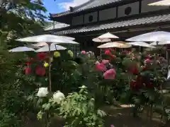 當麻寺の庭園