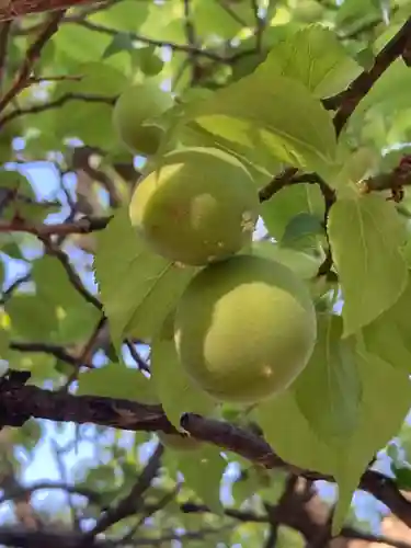 三寳寺(東京都)