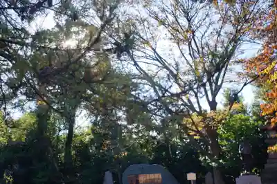 氣比神宮(福井県)