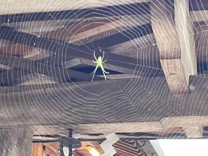 丹生川上神社(下社)(奈良県)