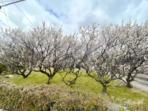 八宮赤山神社(滋賀県)