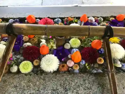 函館八幡宮の手水舎