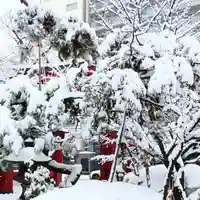 彌彦神社 (伊夜日子神社)の自然