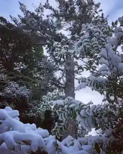 滑川神社 - 仕事と子どもの守り神の自然(2022年12月19日(月) 12時00分11秒投稿)