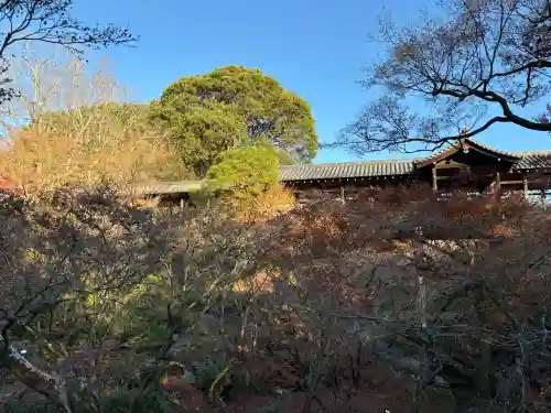 東福禅寺（東福寺）(京都府)