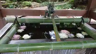 岩槻久伊豆神社の手水舎