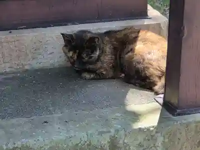 水天宮(静岡県)