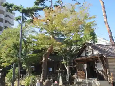 仙岳院(宮城県)