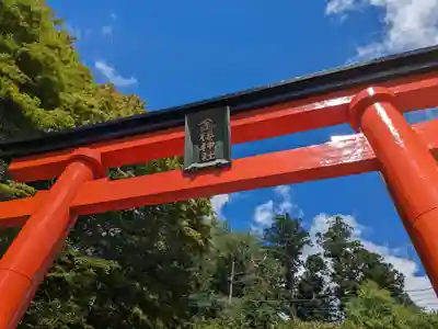 金櫻神社(山梨県)