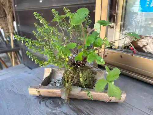 小名浜諏訪神社 ～海の鎮守様～の自然