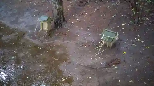 鹿島神社の自然