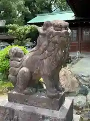 酒見神社の狛犬