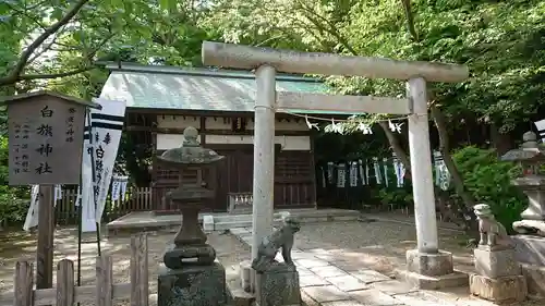 白旗神社(西御門)の鳥居