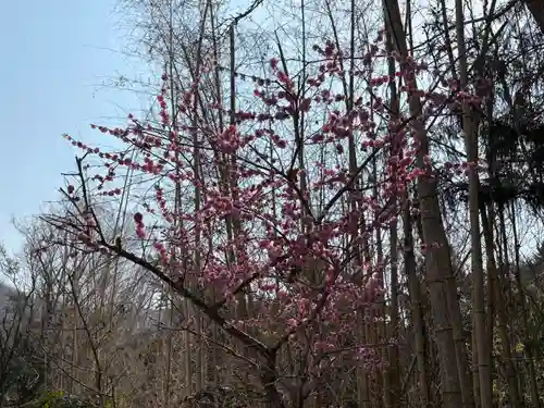 普明寺(兵庫県)
