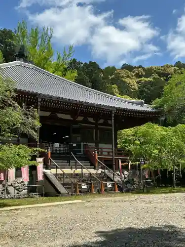 醍醐寺の{uncategorized: "未分類", other: "その他", undefined: "問題あり", building: "その他建物", grave: "お墓", sacred_gate: "鳥居", guardian: "狛犬", statue: "像", buddha: "仏像", history: "歴史", nature: "自然", garden: "庭園", animal: "動物", pagoda: "塔", temizu: "手水舎", mountain_gate: "山門・神門", sanctuary: "本殿・本堂", subordinate: "末社・摂社", art: "芸術", scenery: "景色", jizo: "地蔵", ema: "絵馬", goshuin: "御朱印", omikuji: "おみくじ", items: "授与品その他", amulet: "お守り", goshuincho: "御朱印帳", eats: "食事", festival: "お祭り", votive_dance: "神楽", shichigosan: "七五三参", wedding: "結婚式", experience: "体験その他", initially: "初詣", around: "周辺", anti_infection: "感染症対策"}