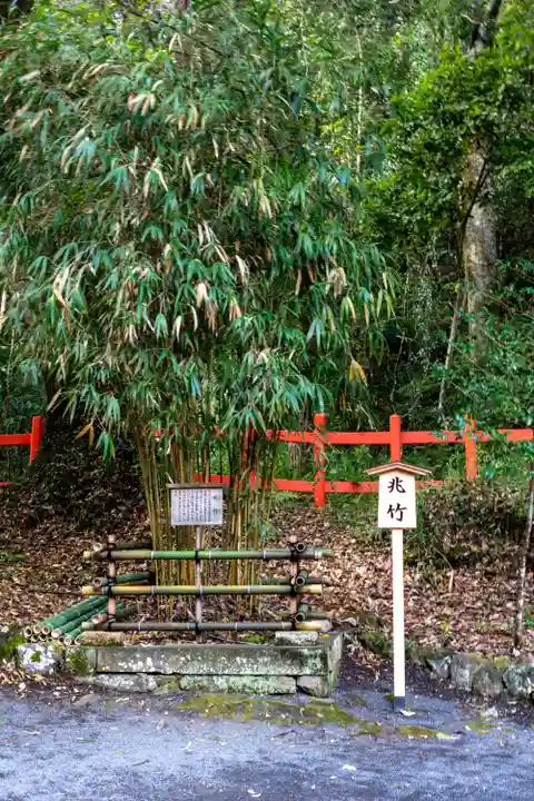 宇佐神宮(大分県)