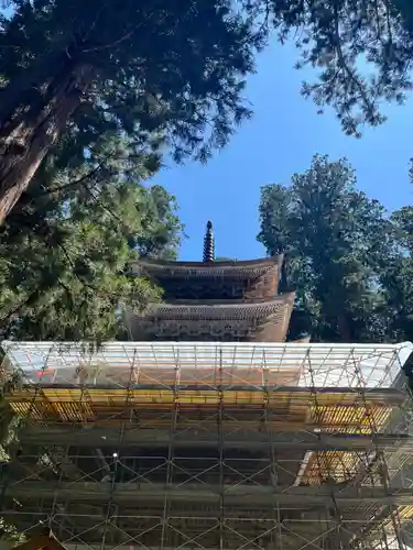 羽黒山五重塔(出羽三山神社)(山形県)