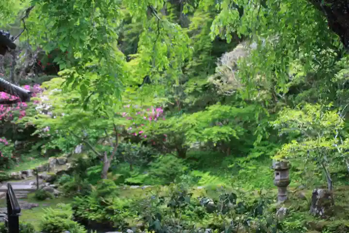 當麻寺 護念院(奈良県)
