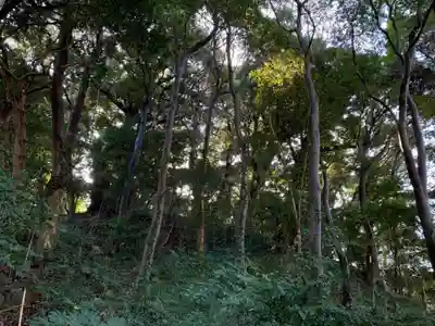 姉埼神社(千葉県)