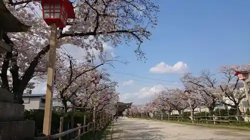 尾張大國霊神社（国府宮）の自然