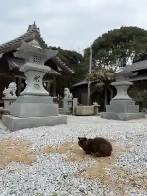 年毛神社の{uncategorized: "未分類", other: "その他", undefined: "問題あり", building: "その他建物", grave: "お墓", sacred_gate: "鳥居", guardian: "狛犬", statue: "像", buddha: "仏像", history: "歴史", nature: "自然", garden: "庭園", animal: "動物", pagoda: "塔", temizu: "手水舎", mountain_gate: "山門・神門", sanctuary: "本殿・本堂", subordinate: "末社・摂社", art: "芸術", scenery: "景色", jizo: "地蔵", ema: "絵馬", goshuin: "御朱印", omikuji: "おみくじ", items: "授与品その他", amulet: "お守り", goshuincho: "御朱印帳", eats: "食事", festival: "お祭り", votive_dance: "神楽", shichigosan: "七五三参", wedding: "結婚式", experience: "体験その他", initially: "初詣", around: "周辺", anti_infection: "感染症対策"}