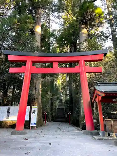 箱根神社(神奈川県)
