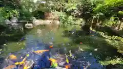 愛宕神社の庭園