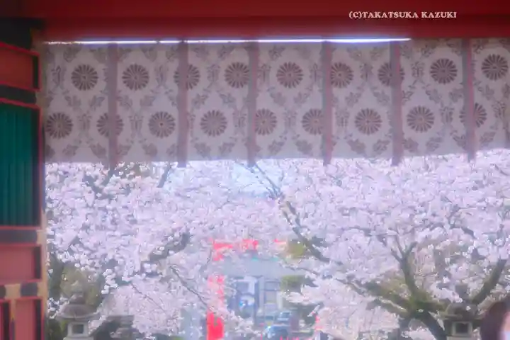 富士山本宮浅間大社(静岡県)