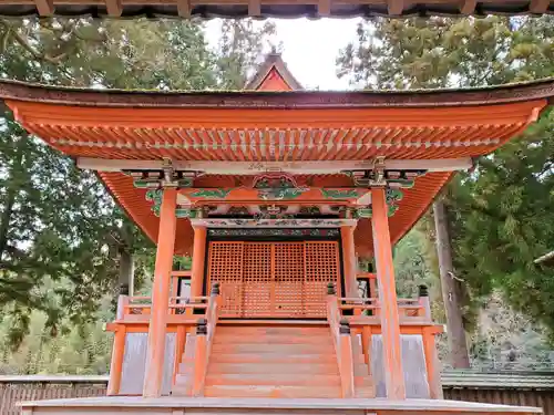 天津神社の本殿・本堂
