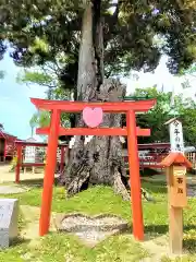 恋木神社(福岡県)