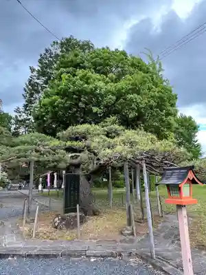 月岡神社(山形県)
