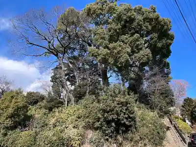 富士見稲荷神社(埼玉県)