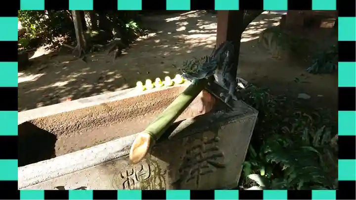 柏諏訪神社(千葉県)