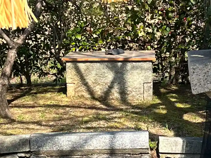 櫻井神社の{uncategorized: "未分類", other: "その他", undefined: "問題あり", building: "その他建物", grave: "お墓", sacred_gate: "鳥居", guardian: "狛犬", statue: "像", buddha: "仏像", history: "歴史", nature: "自然", garden: "庭園", animal: "動物", pagoda: "塔", temizu: "手水舎", mountain_gate: "山門・神門", sanctuary: "本殿・本堂", subordinate: "末社・摂社", art: "芸術", scenery: "景色", jizo: "地蔵", ema: "絵馬", goshuin: "御朱印", omikuji: "おみくじ", items: "授与品その他", amulet: "お守り", goshuincho: "御朱印帳", eats: "食事", festival: "お祭り", votive_dance: "神楽", shichigosan: "七五三参", wedding: "結婚式", experience: "体験その他", initially: "初詣", around: "周辺", anti_infection: "感染症対策"}