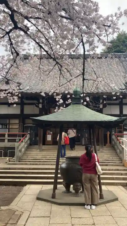 新井薬師(梅照院)(東京都)