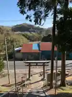 日枝神社の鳥居