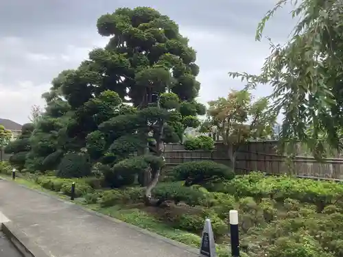 太岳院(神奈川県)