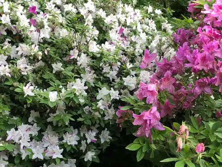 天麟院(宮城県)