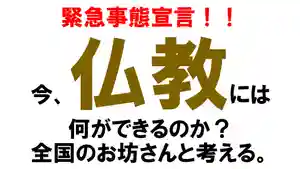 浄土真宗本願寺派久喜山高善寺(島根県)(2020年04月08日(水) 10時36分21秒投稿)