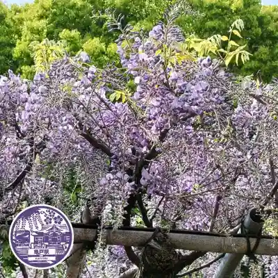 亀戸天神社(東京都)