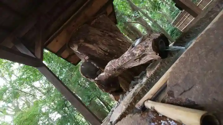 賀茂御祖神社(下鴨神社)の手水舎