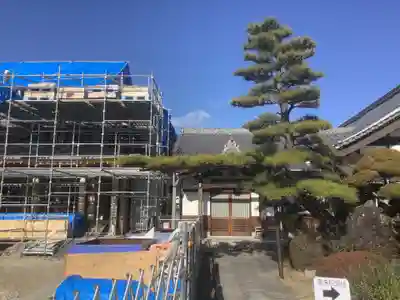 高屋山 永正寺(愛知県)