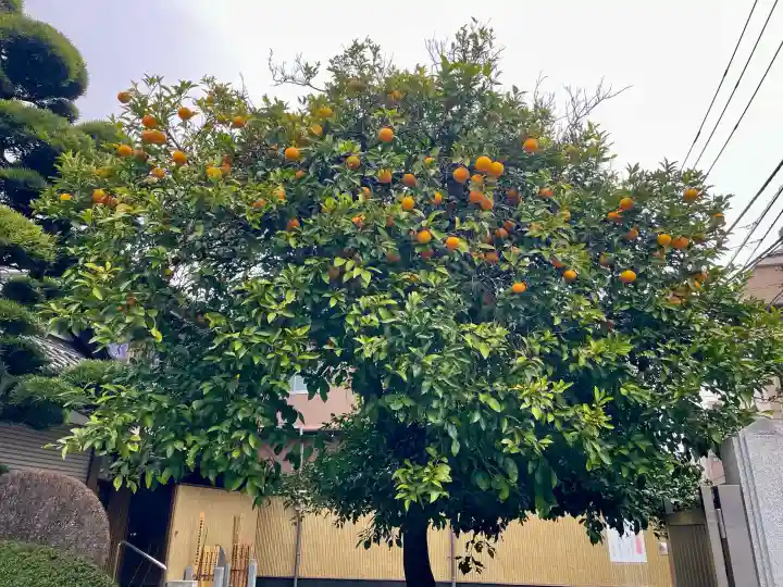 上聖寺の{uncategorized: "未分類", other: "その他", undefined: "問題あり", building: "その他建物", grave: "お墓", sacred_gate: "鳥居", guardian: "狛犬", statue: "像", buddha: "仏像", history: "歴史", nature: "自然", garden: "庭園", animal: "動物", pagoda: "塔", temizu: "手水舎", mountain_gate: "山門・神門", sanctuary: "本殿・本堂", subordinate: "末社・摂社", art: "芸術", scenery: "景色", jizo: "地蔵", ema: "絵馬", goshuin: "御朱印", omikuji: "おみくじ", items: "授与品その他", amulet: "お守り", goshuincho: "御朱印帳", eats: "食事", festival: "お祭り", votive_dance: "神楽", shichigosan: "七五三参", wedding: "結婚式", experience: "体験その他", initially: "初詣", around: "周辺", anti_infection: "感染症対策"}