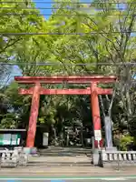 世田谷八幡宮の鳥居
