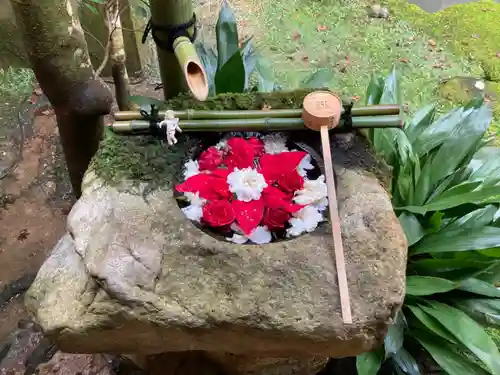 柳谷観音　楊谷寺の手水舎