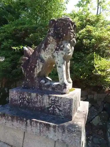 宇治神社の狛犬