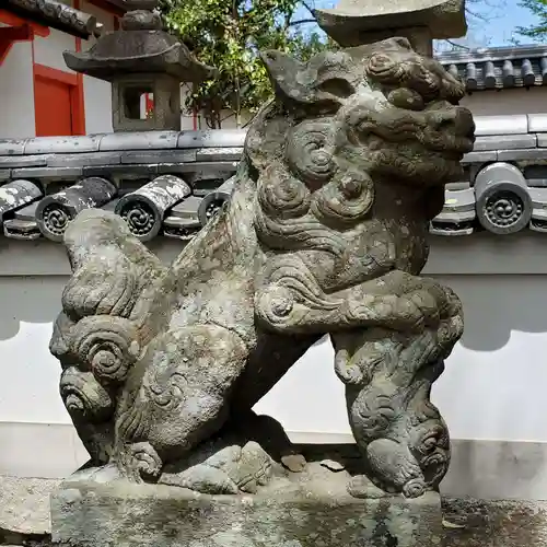 南都鏡神社の狛犬