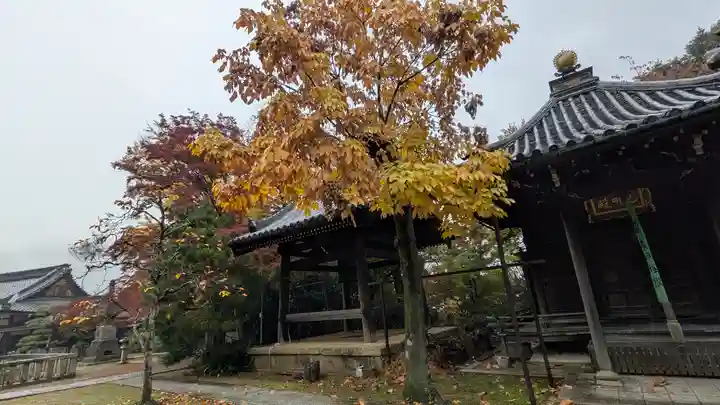 観音寺(山崎聖天)(京都府)