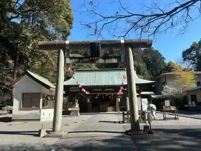 龍尾神社(静岡県)